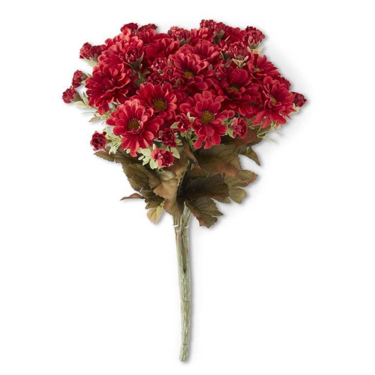 Burgundy Mum Bush